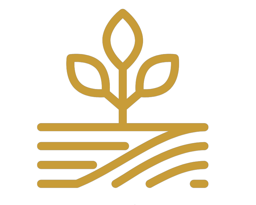 Grow Money